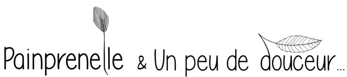 Painprenelle et Un peu de douceur ...